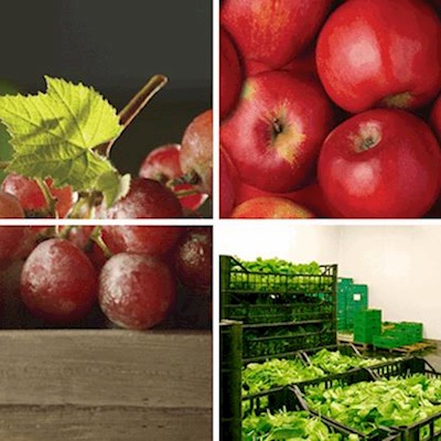 Meyve & Sebze İşleme Ve Depolama Soğutma Sistemleri